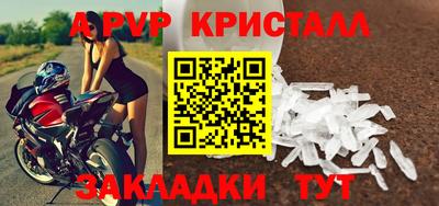 стафф Кандалакша