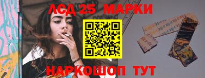 стафф Кандалакша