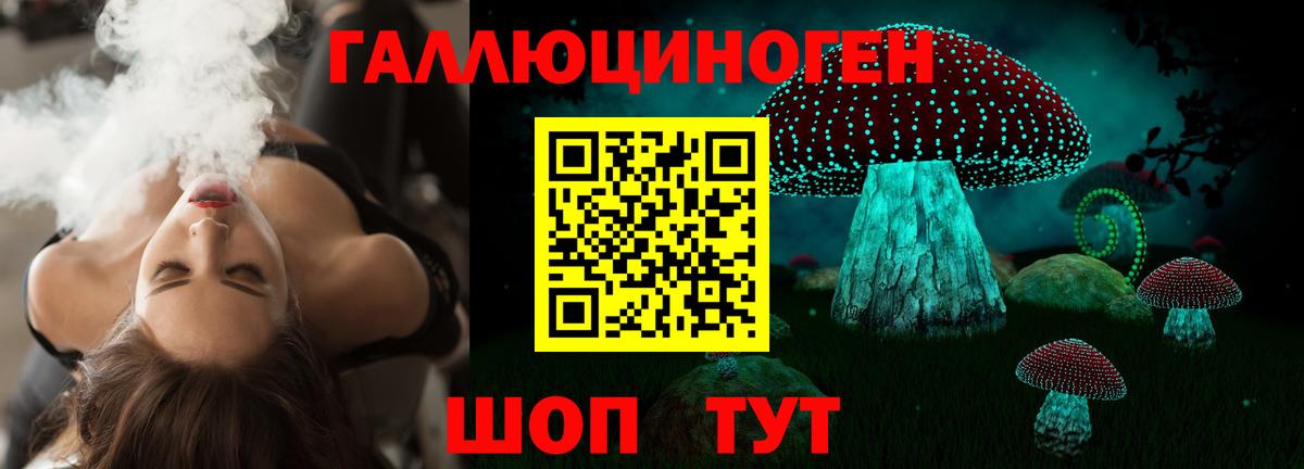 Унеча  Галлюциногенные грибы GOLDEN TEACHER  Вход с VPN  Псилоцибиновые грибы Cubensis 