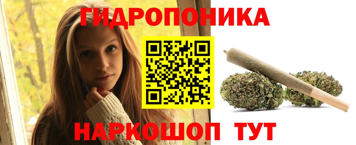 Бошки Шишки конопля Унеча